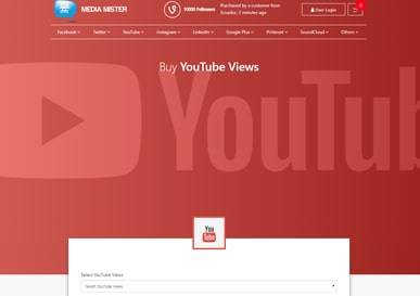 #1-mediamister-youtube-services