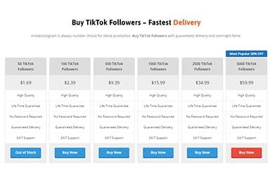 Instaboostgram Buy TikTok Followers