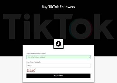 MediaMister Buy TikTok Followers