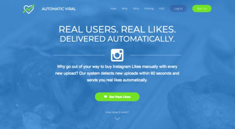 AutomaticViral Review: The Full Review of Its Services