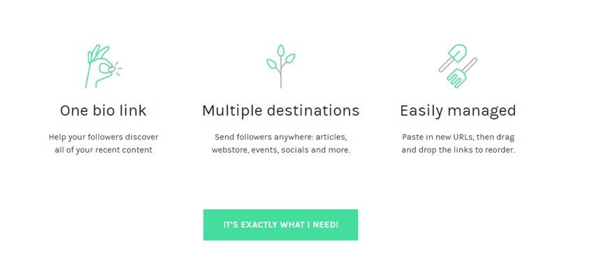linktree-single-review-Why LinkTree Grows Your Networks