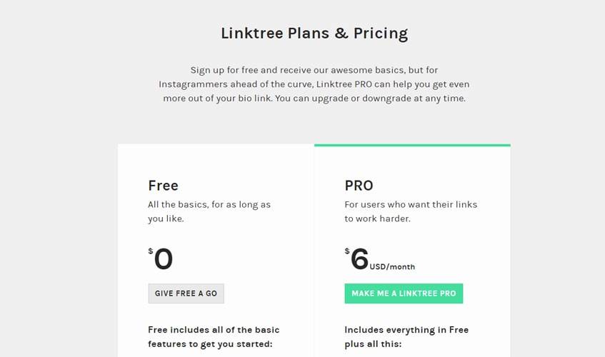linktree-single-review-plan-price